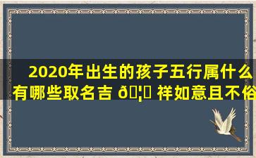 2020年出生的孩子五行属什么有哪些取名吉 🦈 祥如意且不俗气的好名字